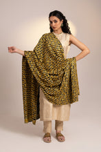 Load image into Gallery viewer, Black Gold Hand Made Phulkari Dupatta for Women | Online shopping Dupatta | Wedding Dupatta